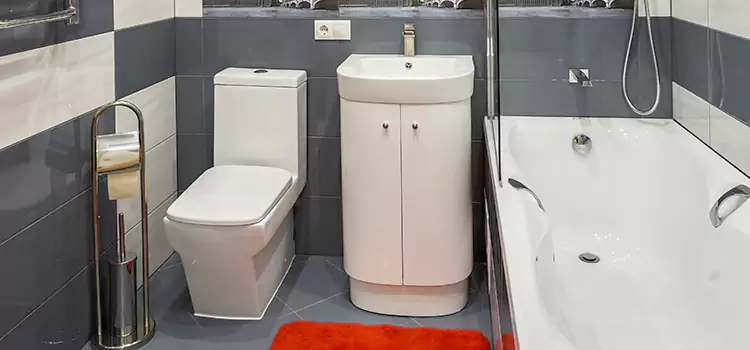 Hansgrohe Shaving Mirror Bothell